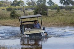 Khwai game drive