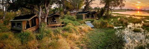 Oddballs, Chief's Island, Okavango Delta, family chalets