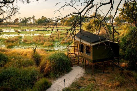 Guest chalet, Oddballs, Chief's Island, Okavango Delta