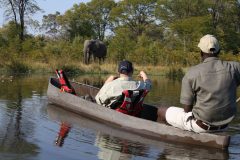 game viewing from mokoro