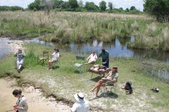 A Delta picnic