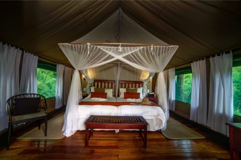 Guest accommodation at Royal Tree Lodge, Maun