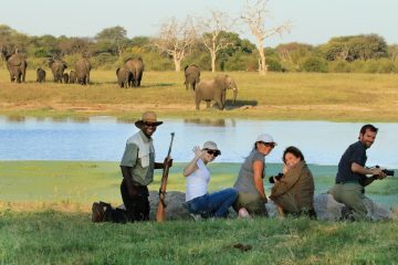 Viewing elephnat on foot, Hwange NP