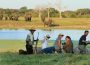 Viewing elephnat on foot, Hwange NP