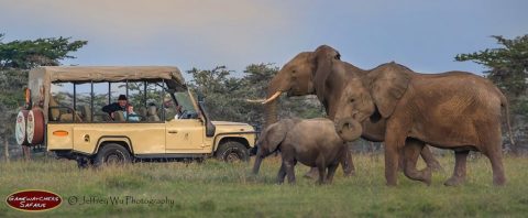 game vehicle with elephants
