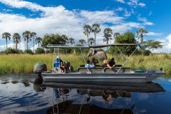 viewing elephant from boat