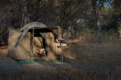 guest tent from the outside