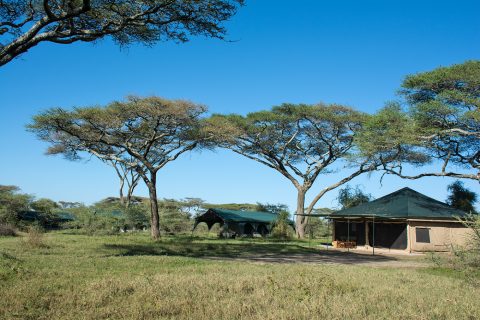 Kirurumu Camp, Ndutu