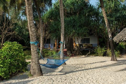 Pongwe Beach hotel beach front cottage with hammock