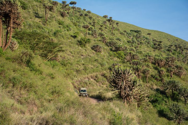 driving into Ngorongoro crater
