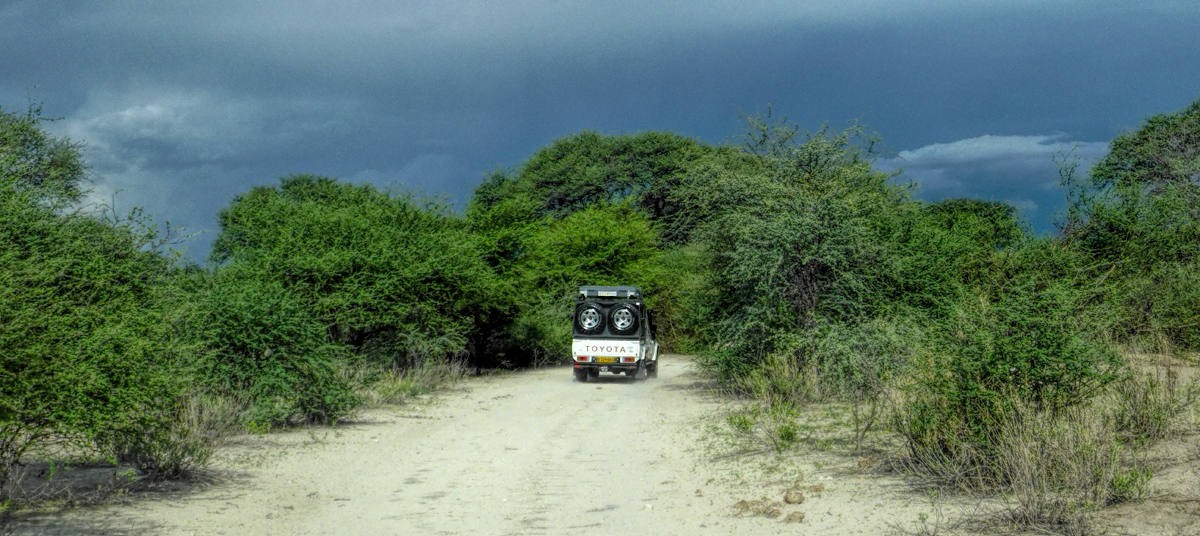 driving the back road to Chobe NP