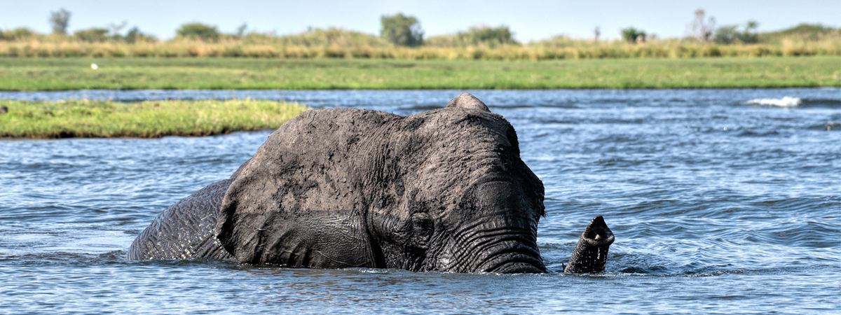 Wildlife Photography Africa