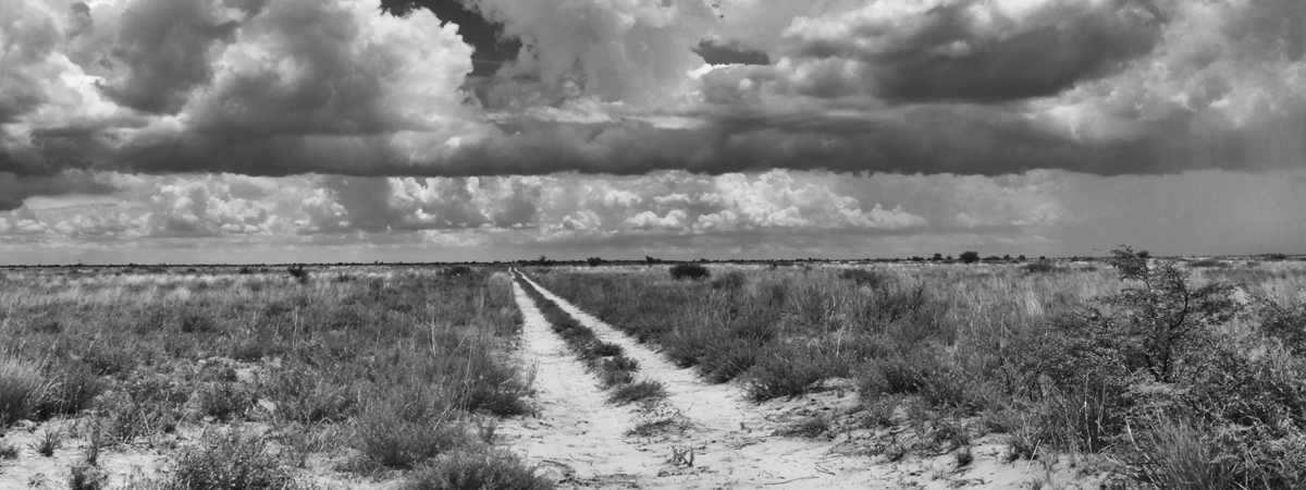 storm clouds gather over Makgadikgadi Pans