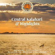 Central Kalahari and highlights