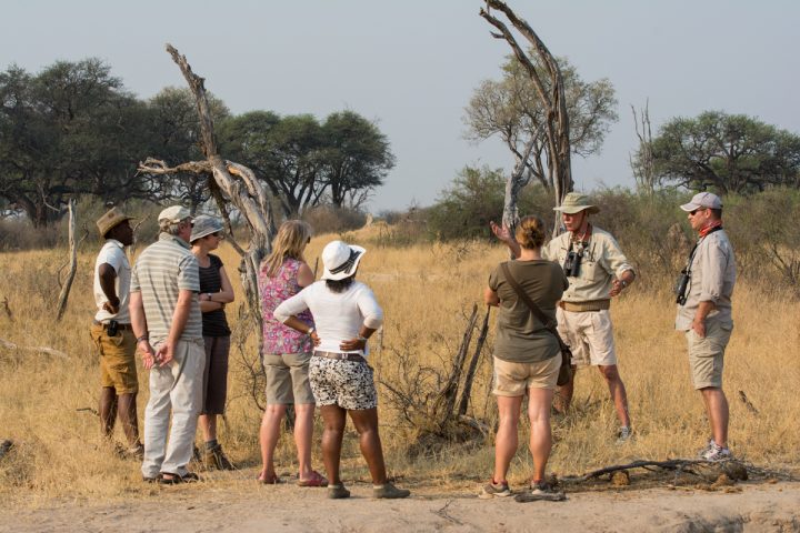 Mark Butcher guiding